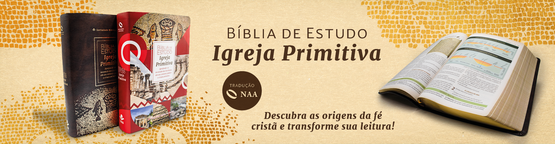 Bíblia de Estudo Igreja Primitiva