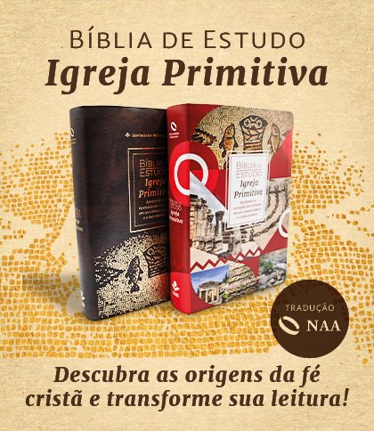 Bíblia de Estudo Igreja Primitiva