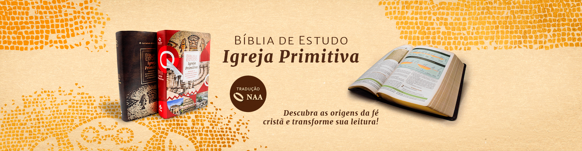 Bíblia de Estudo Igreja Primitiva