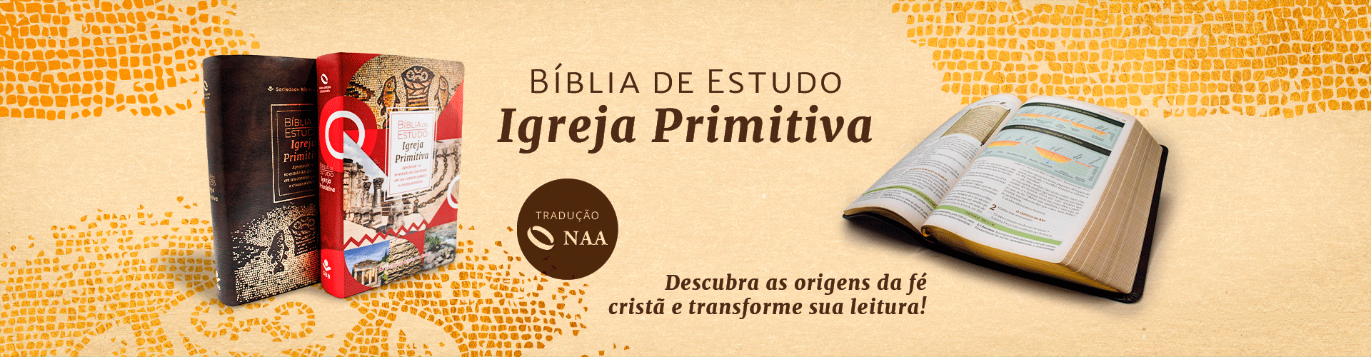 Bíblia de Estudo Igreja Primitiva