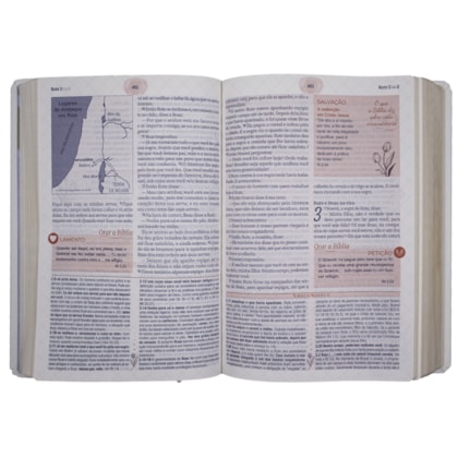 image_ff9f280c-32ef-4b31-9435-f4d489faeff0