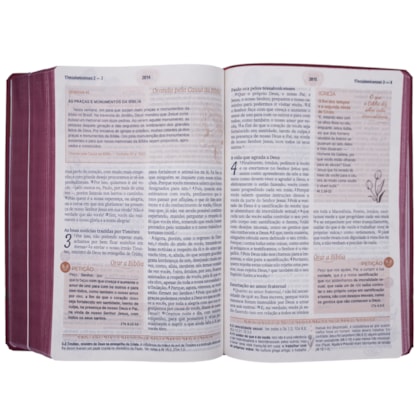 image_930e26c2-4e79-4817-84f1-f68c223d7a39