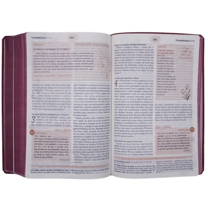 image_40950984-6009-4ebd-a421-08787b22726d