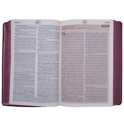 image_f95d20f2-e5f5-4ecc-b5aa-740f8af2cbcd