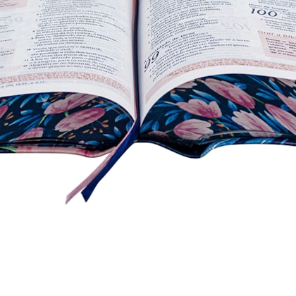 image_81f6be11-704e-44bb-9864-0530d455b63f