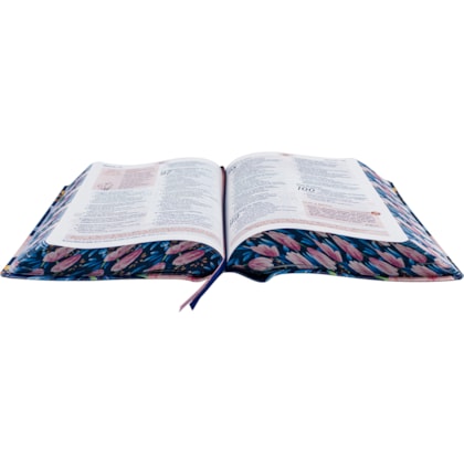 image_c8fac2b9-7a0e-43a4-bb4a-a4e398187254