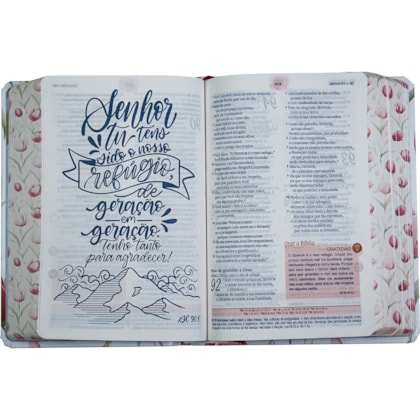 image_383b200b-ba63-4a90-b63f-3d74dca89437