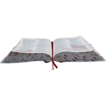 image_e8318385-4b57-4276-9d95-b40f4c68497c