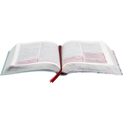 image_c3d22846-85f4-4963-900d-d0569e894545