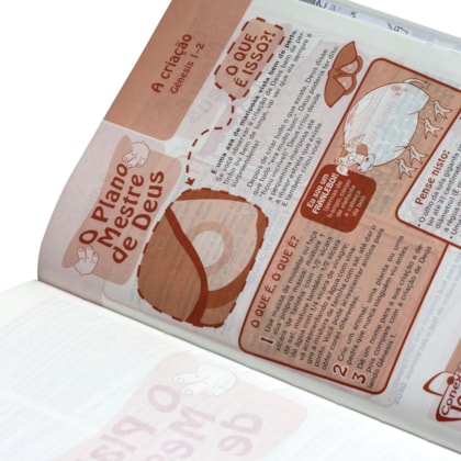 image_dfd1f0ec-5977-4ea6-b38f-8f8bc4f76afd