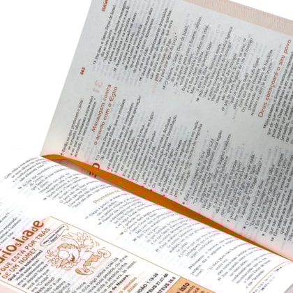 image_7505191a-deb6-4019-9b3d-c752798ca649