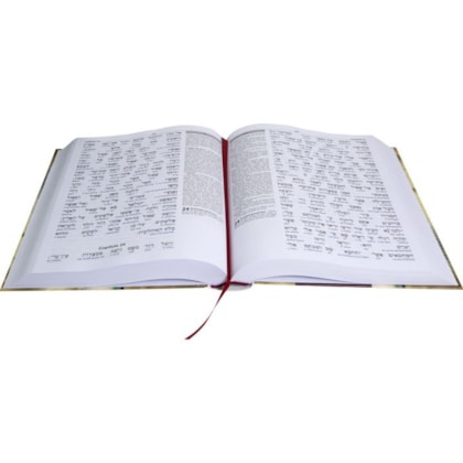 image_b5df50a4-7dbf-4a6d-ae77-80d4a0886c82