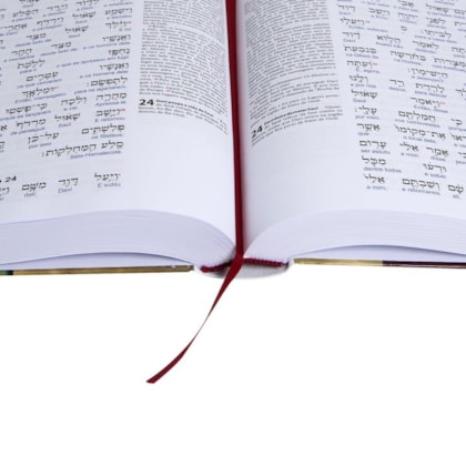 image_3015c28e-8703-46a4-8f98-64a248fefe27