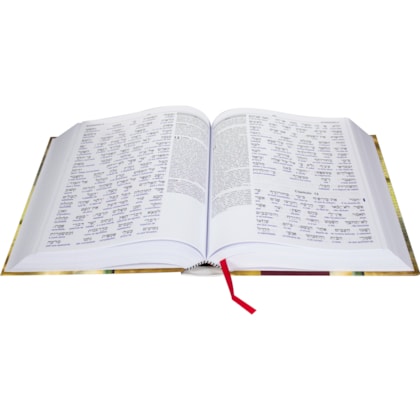 image_bcdee542-7716-4221-a97a-938ef381883b