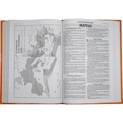 image_a8482ccc-c243-4d4b-84c4-d012f83cfc82