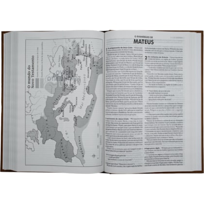 image_91fce570-6380-46b0-829c-92d2fc929fde