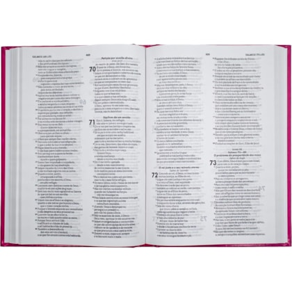 image_76441484-0826-443e-af53-7c4d40058193