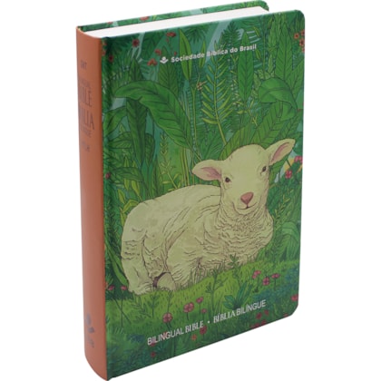 image_09ab58c5-bb81-42f6-8db6-9383e32f3951