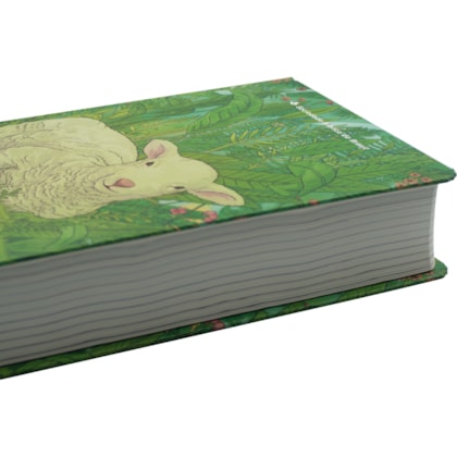 image_be2b4acd-f642-4981-98ad-5fdc9e09e115