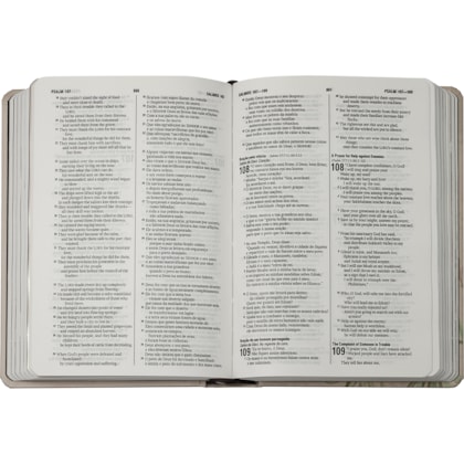 image_ea0d57ab-70eb-409a-b8cd-1b581da97146