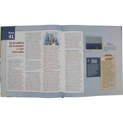 image_983eeeaa-4ba9-4121-b206-c9a12fde054f