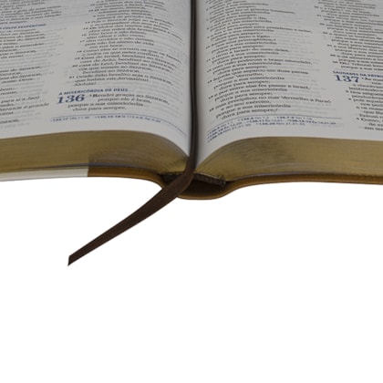 image_4b6a505e-4dc5-464d-b567-c667dcf5a98a