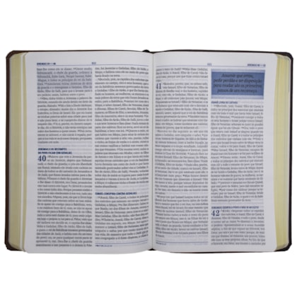 image_2d01c66d-87a0-4544-9192-f184589e3502