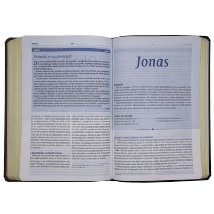 image_1c835c58-7a60-4e2a-9879-e6c8639752a4