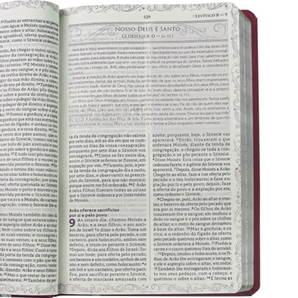 image_59e60f55-f2af-4893-8edf-5eb04192d511