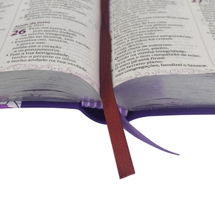 image_aa6fc064-124c-4f3d-9ce5-d38877b8d91e