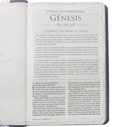 image_79a37207-3ea8-46dd-8ed9-7e92e634f62d