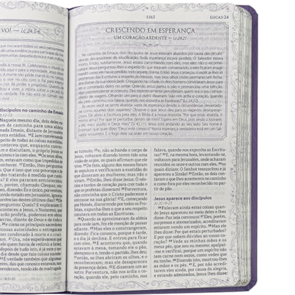 image_274bf018-a57d-4392-9f55-400cd01795b4