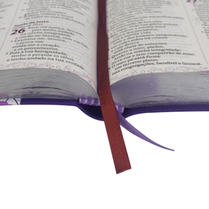 image_2438412a-2235-463f-849c-0d755dd21df1