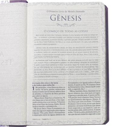 image_d55c7bd5-cb8a-4ae5-89f4-46e38c3e619a