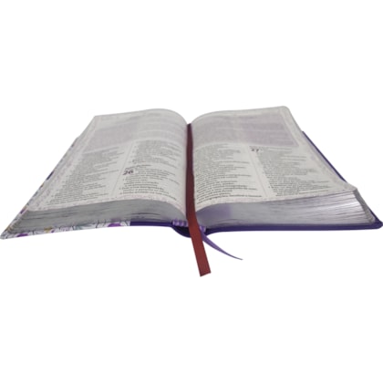 image_5819f5ae-3c39-4654-a512-e6f47ffbc313