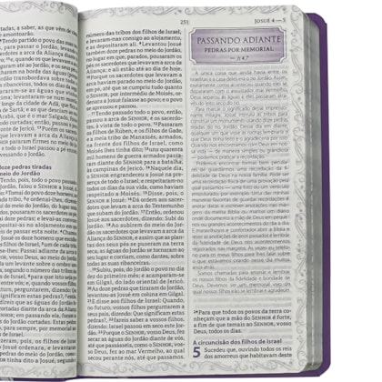 image_1fd52f52-f743-4fae-86b6-5c95bcc3ce3a