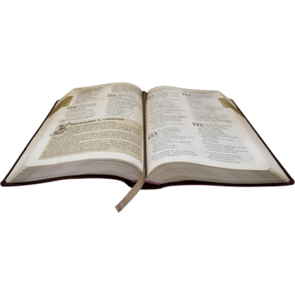 image_d12f0e03-1846-4736-a2d4-e0a24792e1be