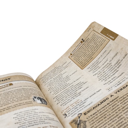 image_8a6eeac2-8e60-43d7-a3cf-32dafe5334a3