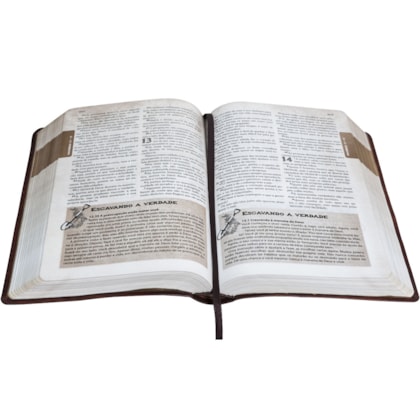 image_1db67100-4203-4636-8219-e3680f4e7278