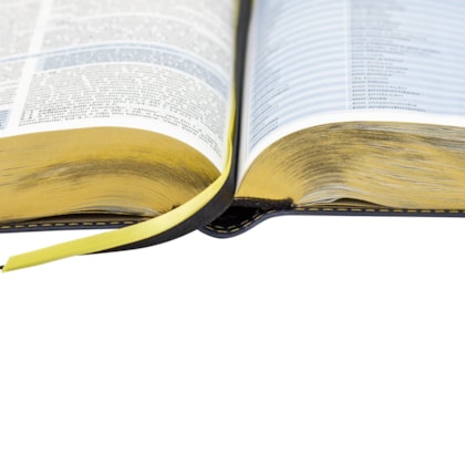 image_5a085b1b-a965-4862-8781-4b7ff0eccddd