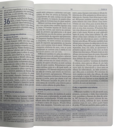 image_1210f320-f0ab-48fd-bec5-21fe4ddb11e3