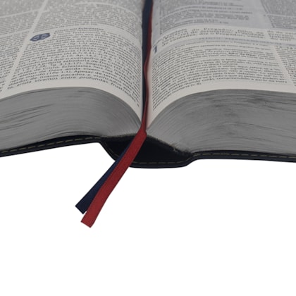 image_6510753c-9f19-4285-b84e-4a72e5ed87b6