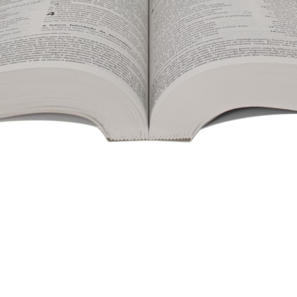 image_ccf87afd-6f8a-45e1-813b-0e9a4e16d733