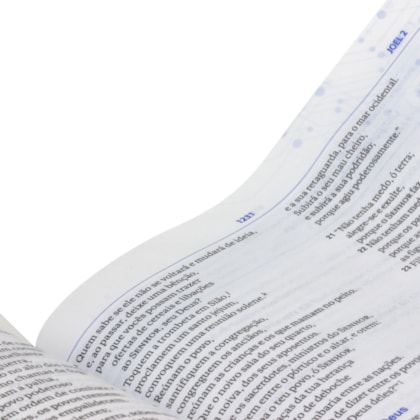 image_742f2d2a-4fb4-4428-a63a-e80b45a1bac6