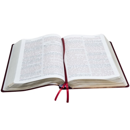 image_98971cae-ef3a-4c2c-b0a9-48c5df396384