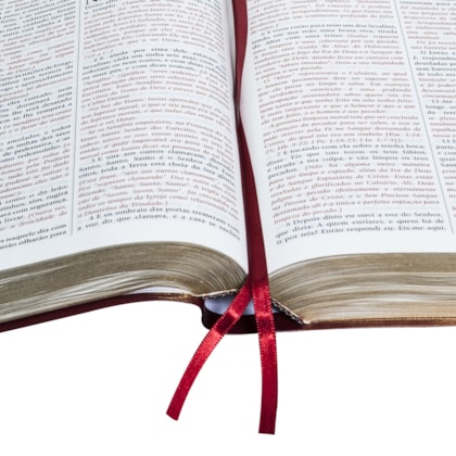 image_e082d773-e608-4fd9-8847-9f34846d77ef