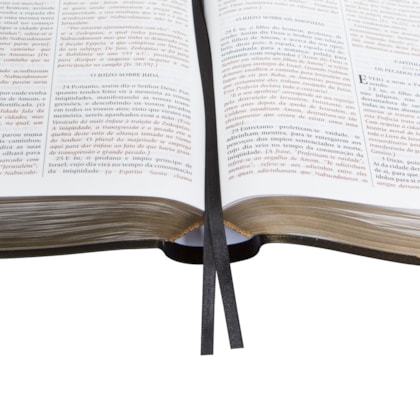 image_b3b4c010-d822-4c2e-bb30-258c9afc8980