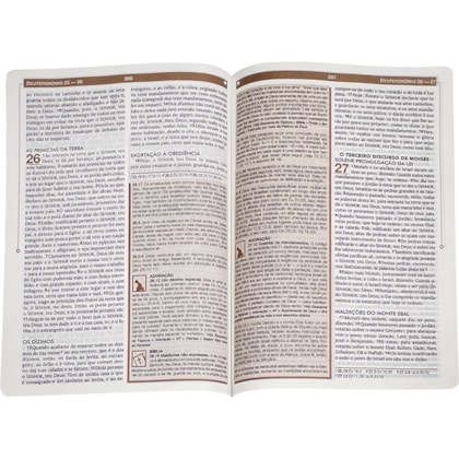 image_fa9f6f7c-e4ae-480c-aa6c-fda18896c7b9