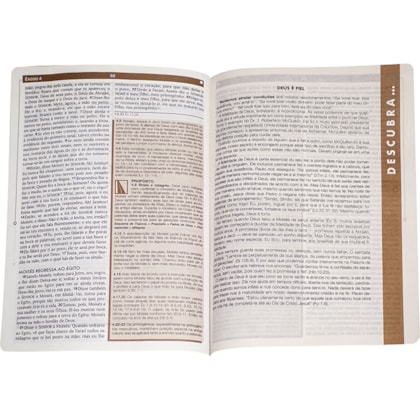 image_8c363861-1147-411d-9332-7cedf6ced672