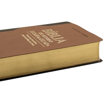 image_d029167d-8e2f-4bf9-b037-e821b39ee047